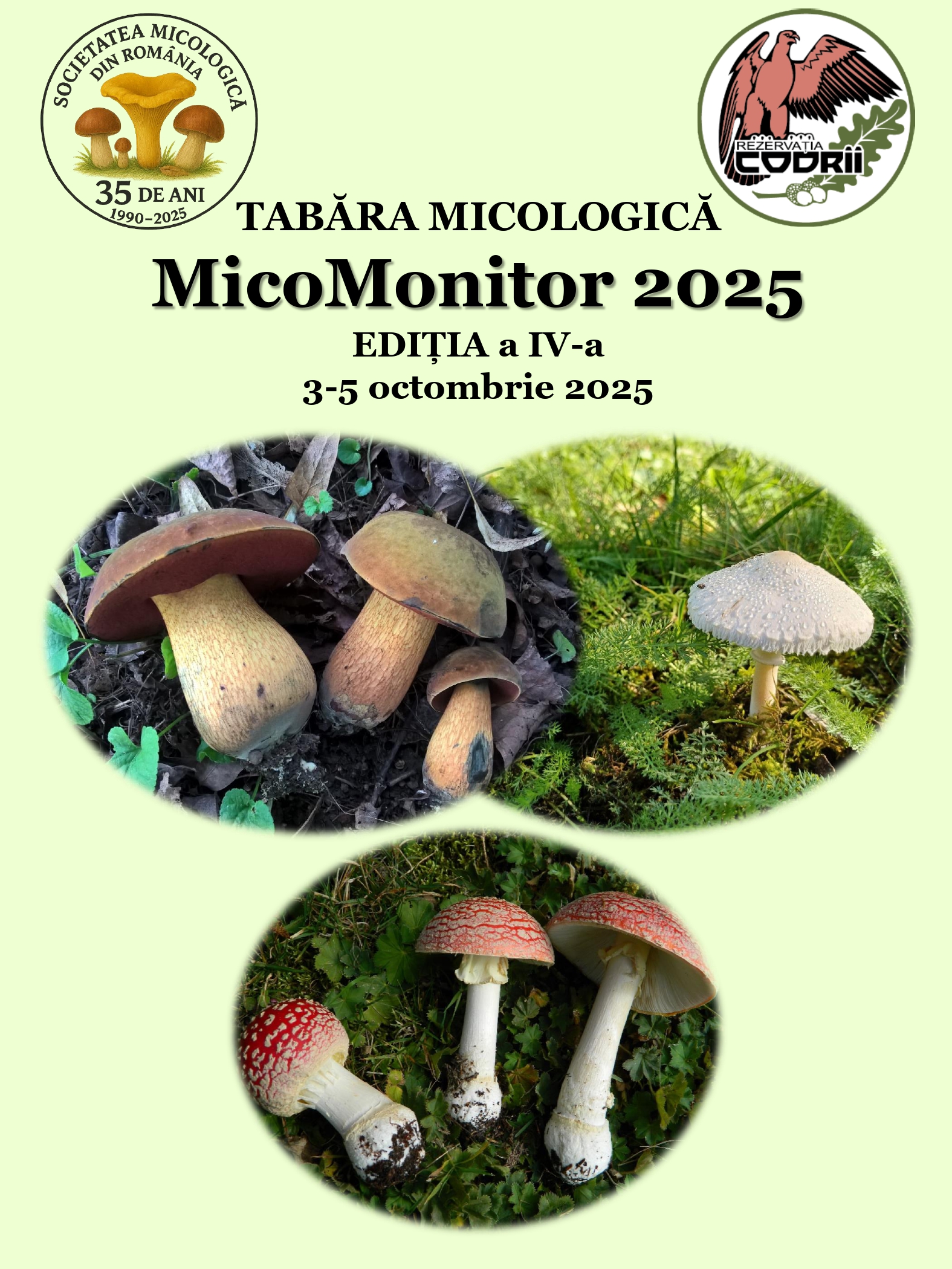 Tabăra Micologică SMR - MicoMonitor, Ediția a IV-a, 3-5 octombrie 2025, Rezervația Codrii - Republica Moldova